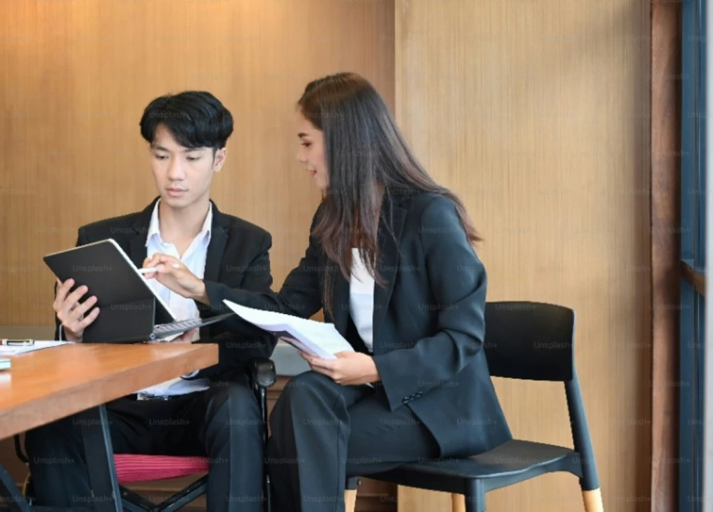 Professional Consulting Services
